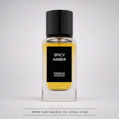 Spicy Amber - Unisex Eau de Parfum (100 ml clear bottle) - French Avenue