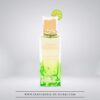 Mojito Obsession Eau de Parfum 100ml - Golf Orchidee