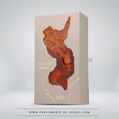 Caixa Ravine Ginger - Extrato misto de fragrância (frasco branco de 100 ml) - French Avenue