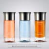 Geschenkset Pegasus Karim Benzema - 3 Parfums 100 ml - Assaf