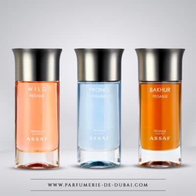 Conjunto Pegasus Karim Benzema - 3 Fragrâncias 100 ml - Assaf