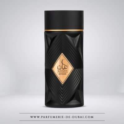 Kayaan Intense – Eau de parfum masculine (flacon noir 100ml) – Armaf