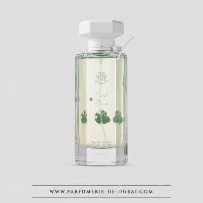 Coral Bloom – Niche parfüm férfiaknak és nőknek egyaránt (átlátszó üveg, 100 ml) – Reef Perfumes